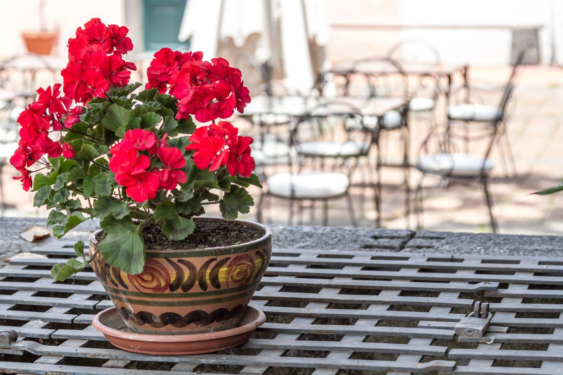 Etna Hotel Giarre